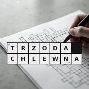 Hasło krzyżówkowe świnie hodowane dla mięsa i skór - trzoda chlewna – rozwiązanie, synonimy, podpowiedzi i definicje krzyżówkowe